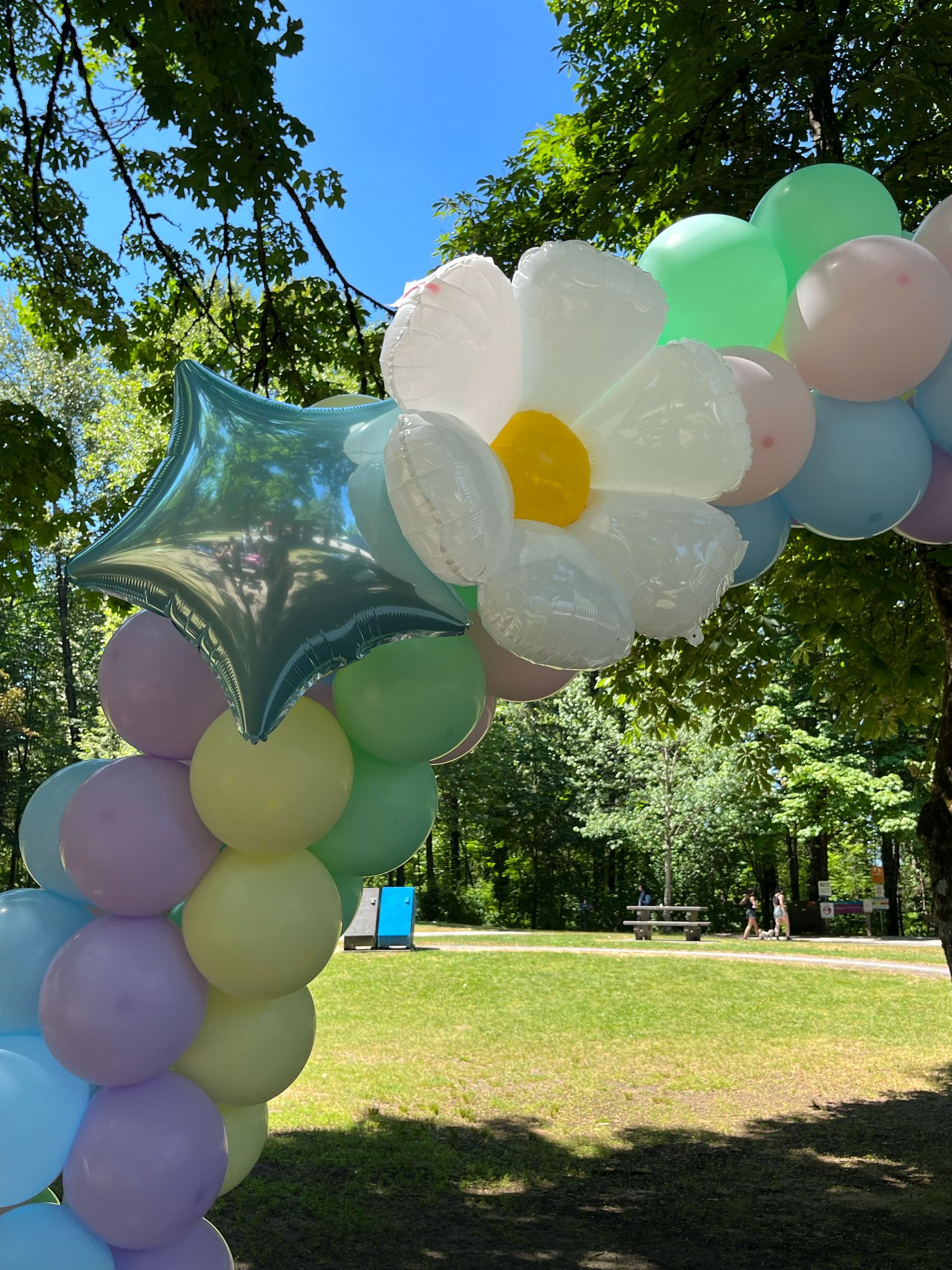 WhatsApp Image 2025-04-13 at 22.12.25 (1)